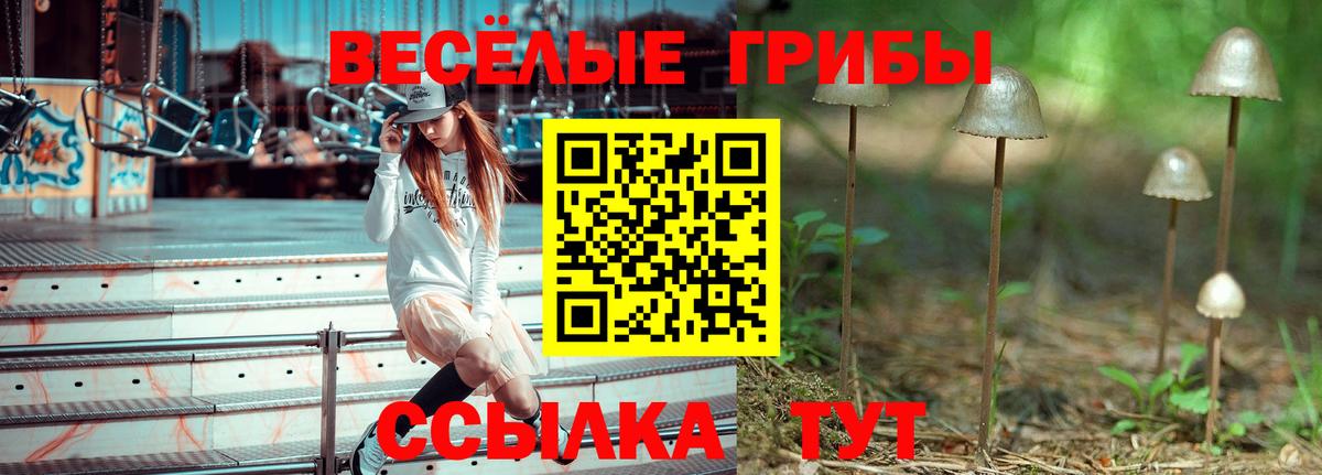 Псилоцибиновые грибы Magic Shrooms Владикавказ