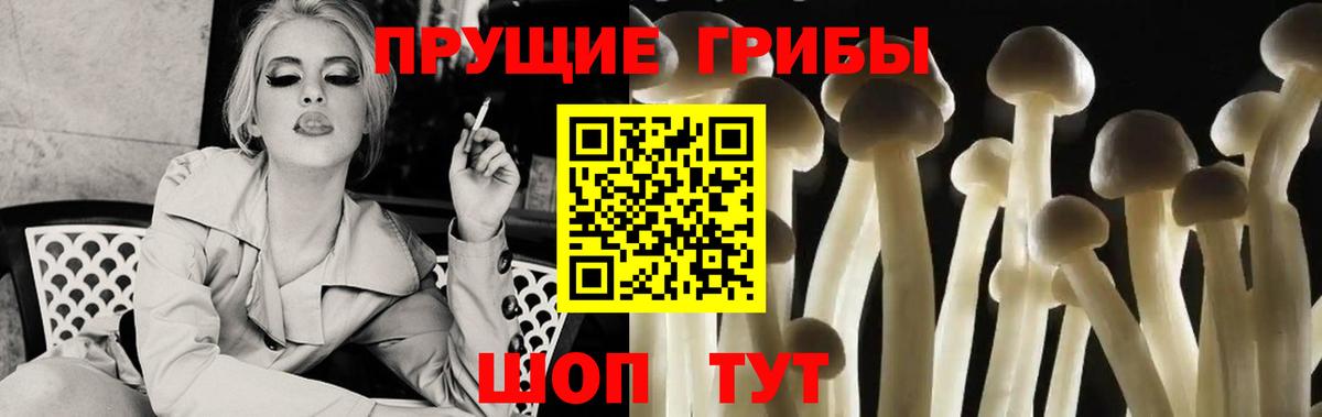 Владикавказ  купить наркоту  Вход с VPN  Псилоцибиновые грибы мухоморы 